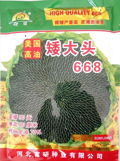 矮大頭668——油葵種子